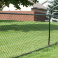 Commerical Fence PVC Coated Chain Link Fence Commerical diamond basketball palyground fence with cheap price